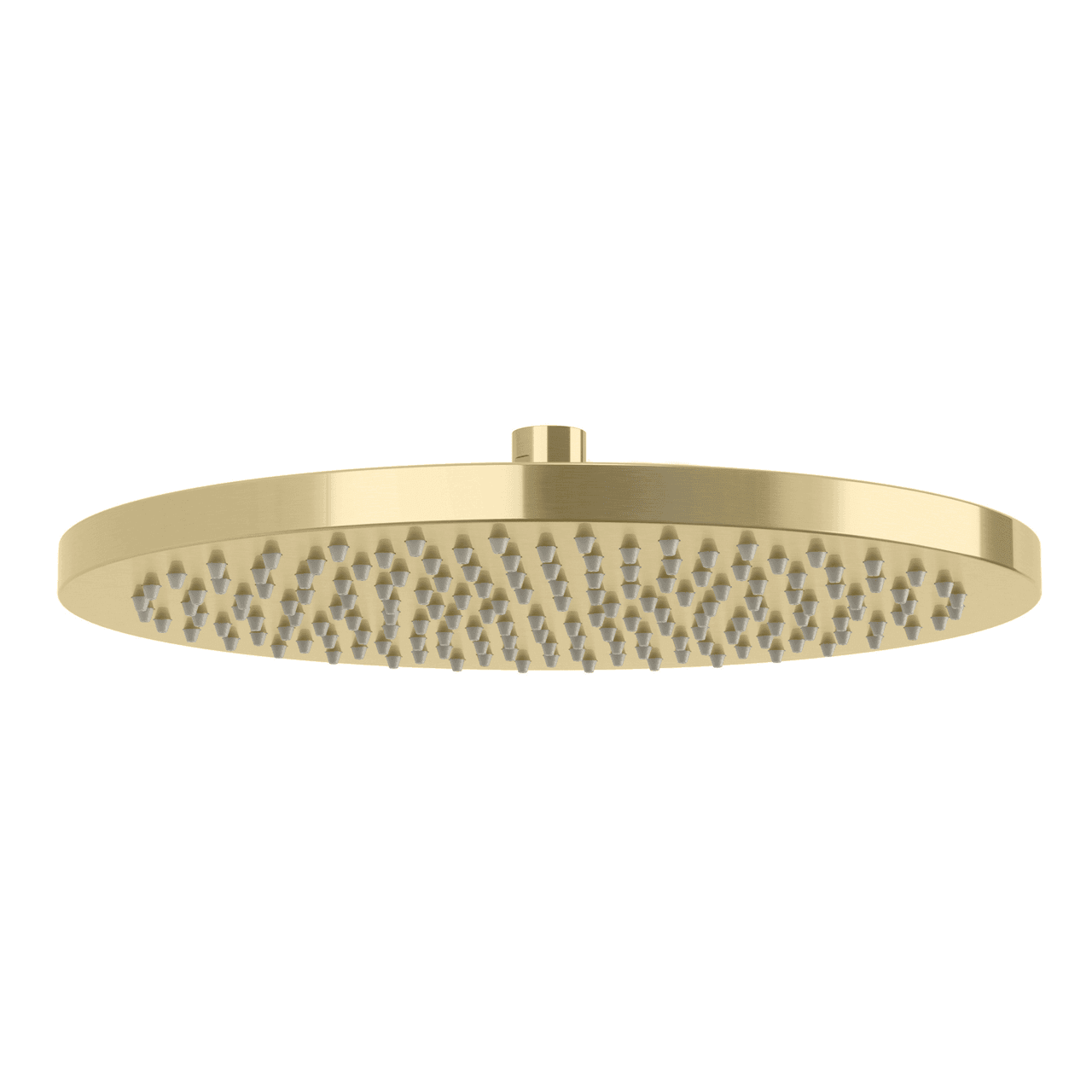 Vivid Shower Rose 300mm Round Brushed Gold