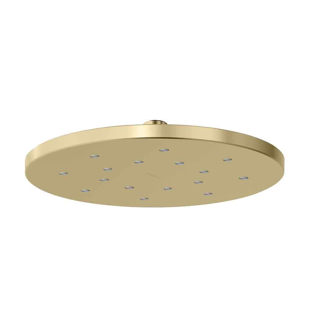 LuxeXP Shower Rose 250mm Round Brushed Gold