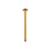 ADP Soul Shower Dropper 300mm Brushed Brass