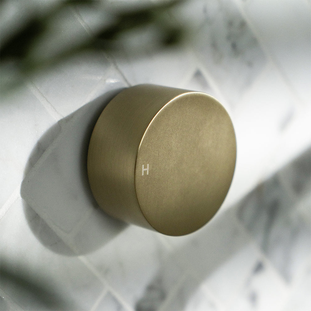 Simon Brushed Brass Gold Simple Circle Handles