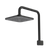 Luna Fixed Overhead Shower Black