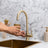 Fleta Brushed Brass Gold 3 Way Filter Water Tap