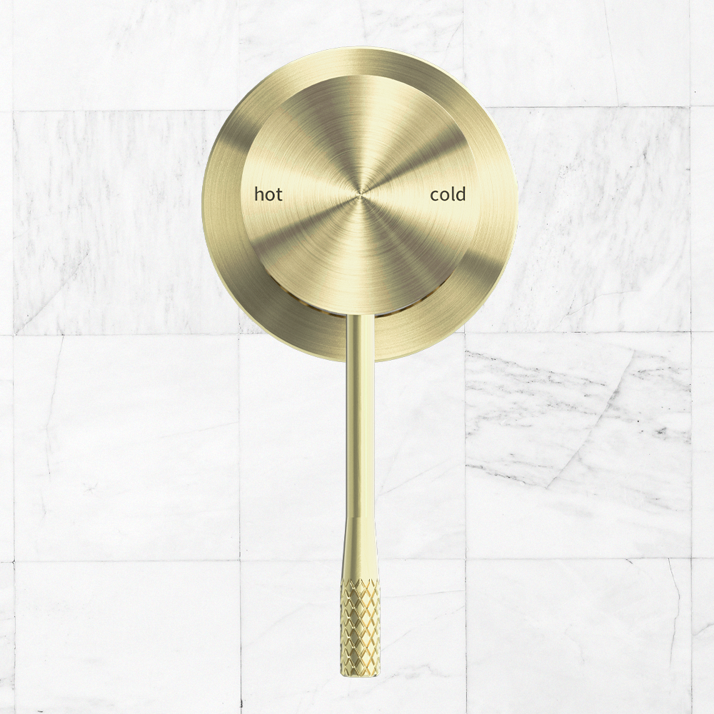 Opal Shower Mixer with 60mm Plate Brushed Gold