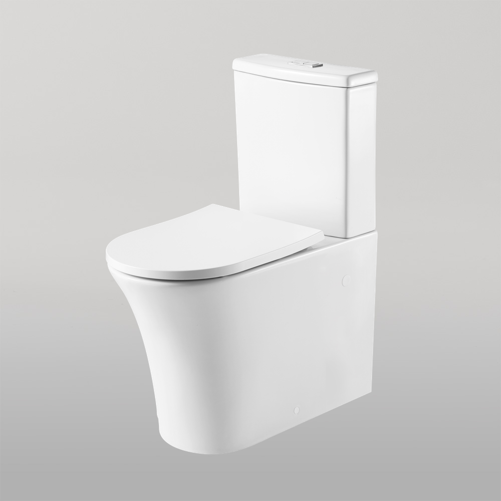 Dublin Back To Wall Toilet Suite White