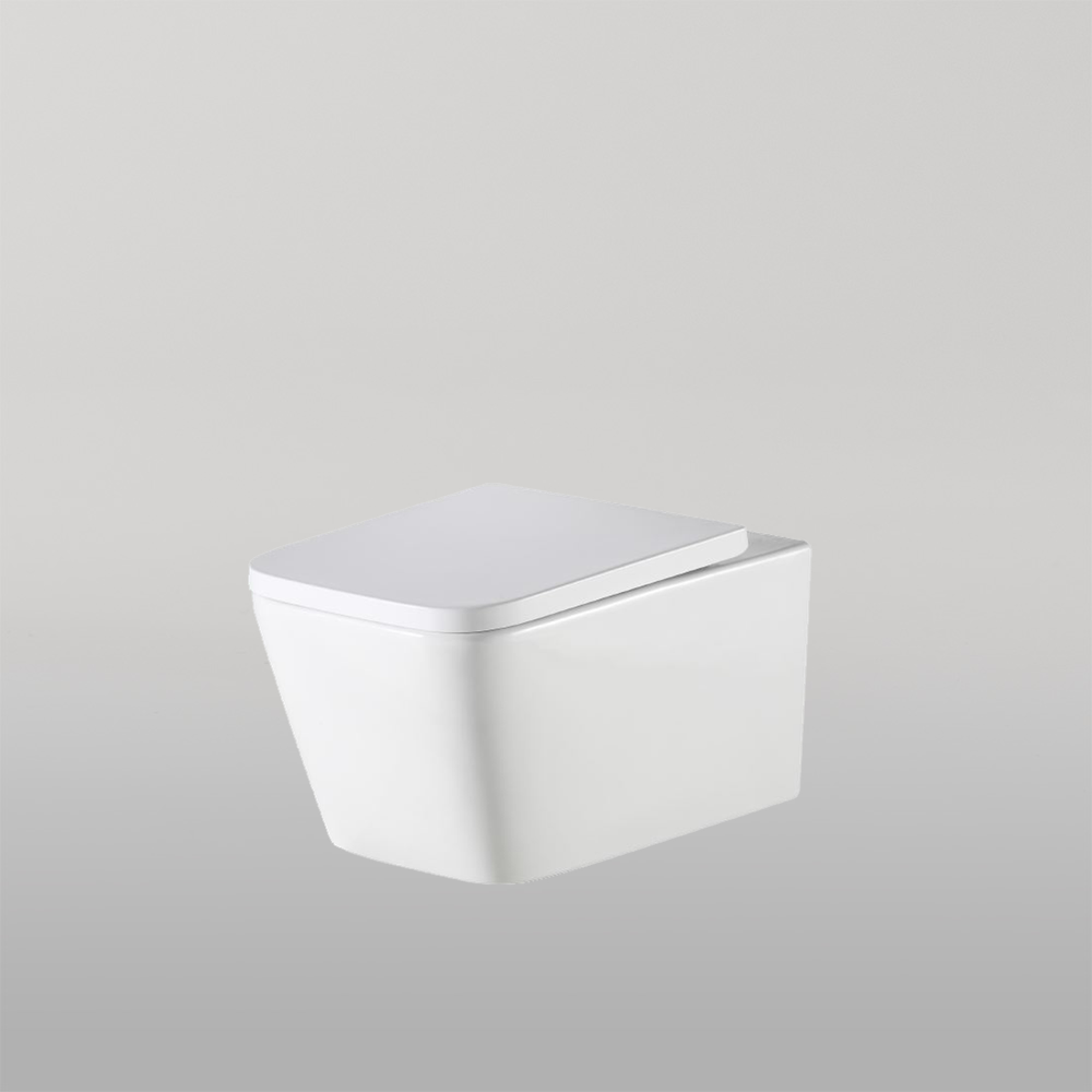 Munich Wall Hung Toilet Suite White