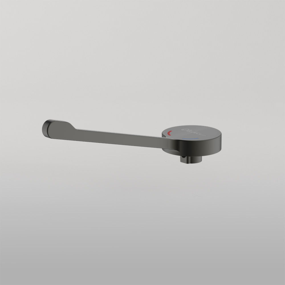 Venice Care Handle Pin Lever For Wall Mixers Gunmetal