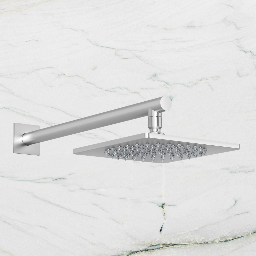 Enviro316 Shower Arm & Rose Stainless Steel