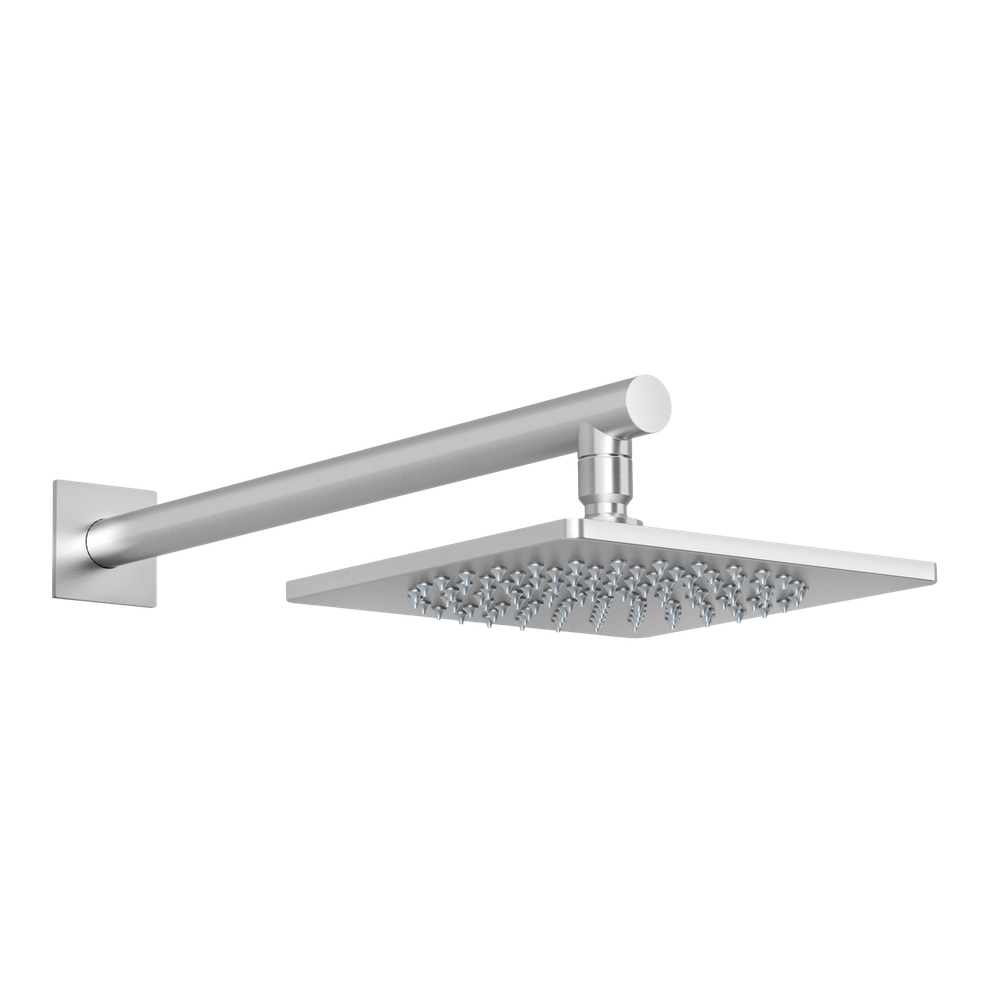 Enviro316 Shower Arm & Rose Stainless Steel